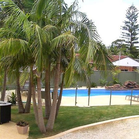 Koala Tree Motel Порт-Маккуори Экстерьер фото